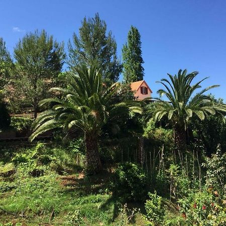 Villa Casa D'Olivia à Porto Da Cruz Extérieur photo