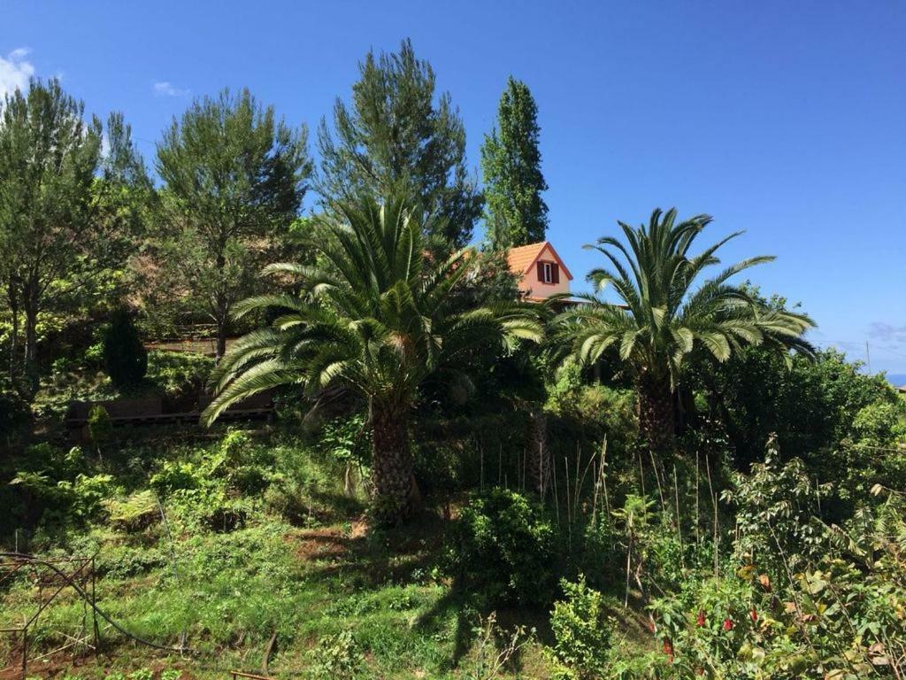 Villa Casa D'Olivia à Porto Da Cruz Extérieur photo